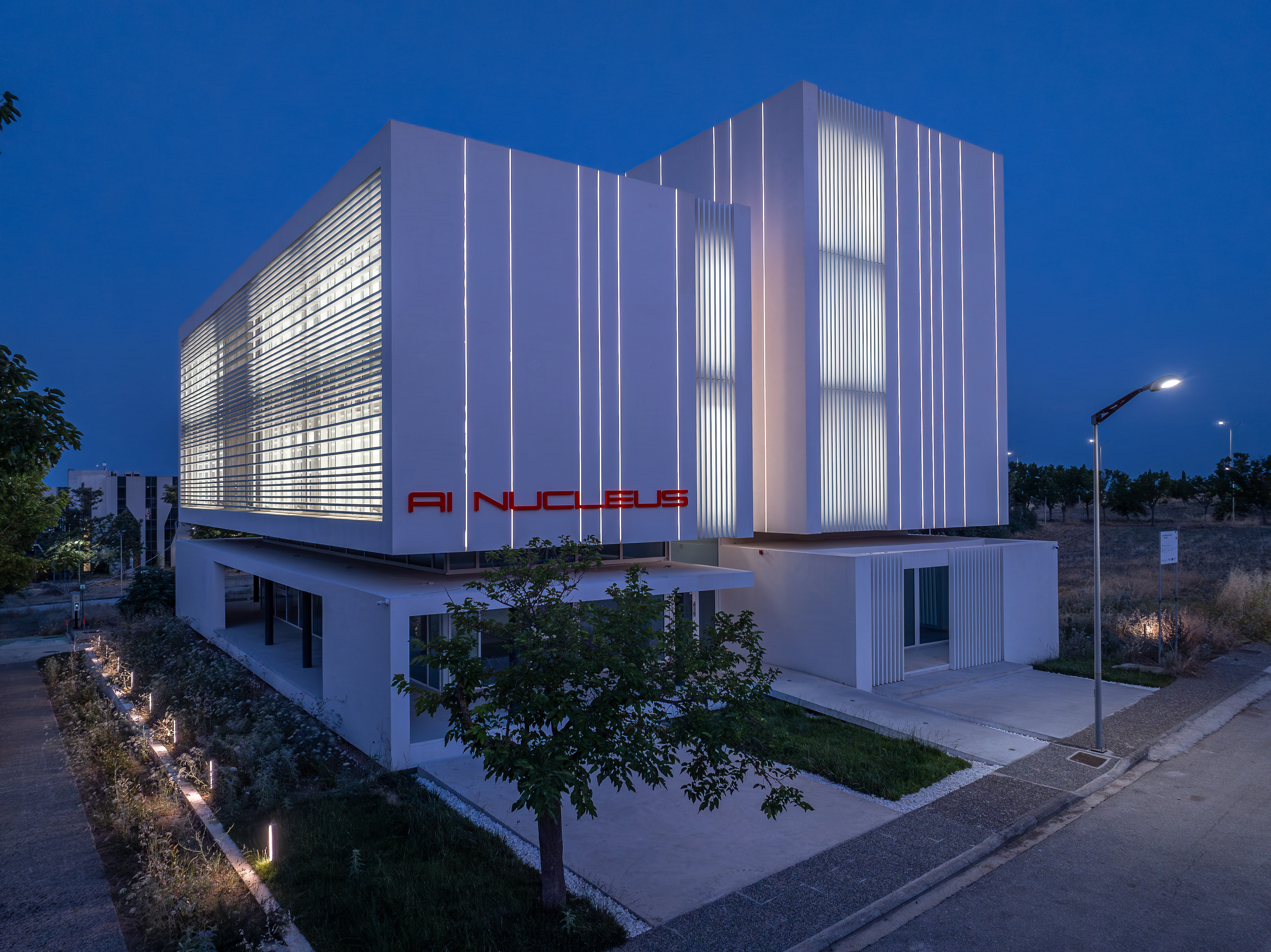 AI NUCLEUS