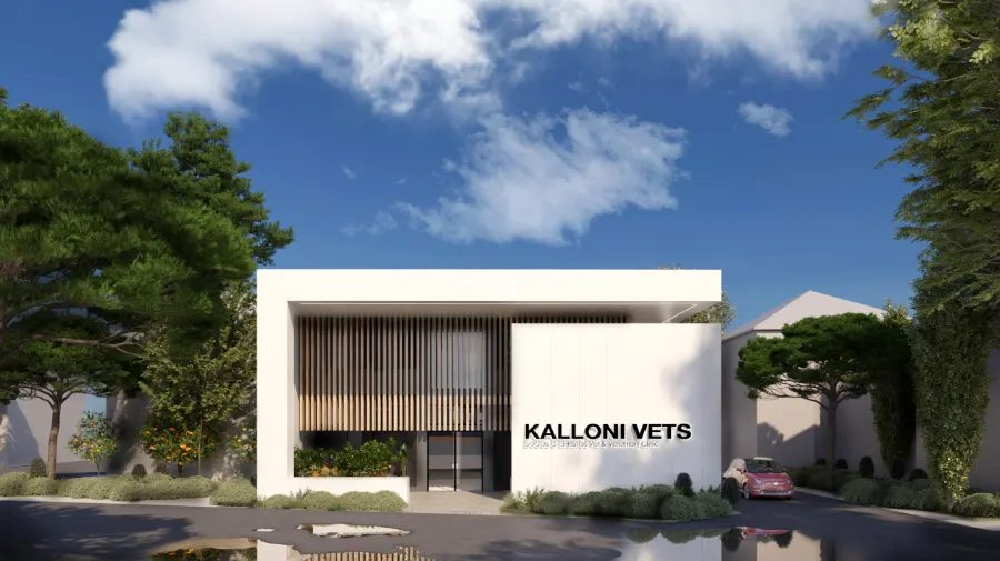 Kalloni Commercial Building